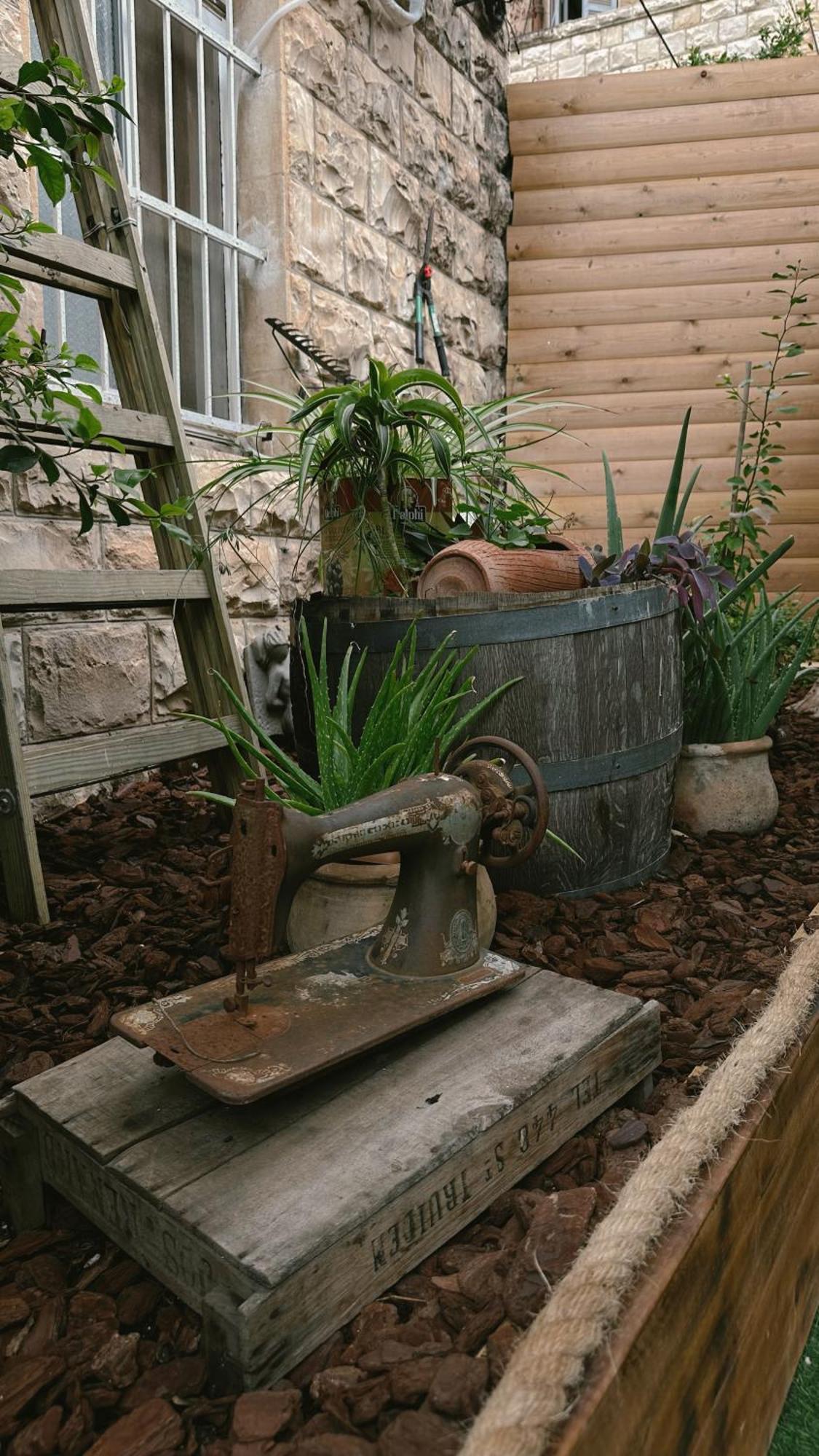 Dream House Art Hostel Garden And Terrace Хайфа Екстериор снимка