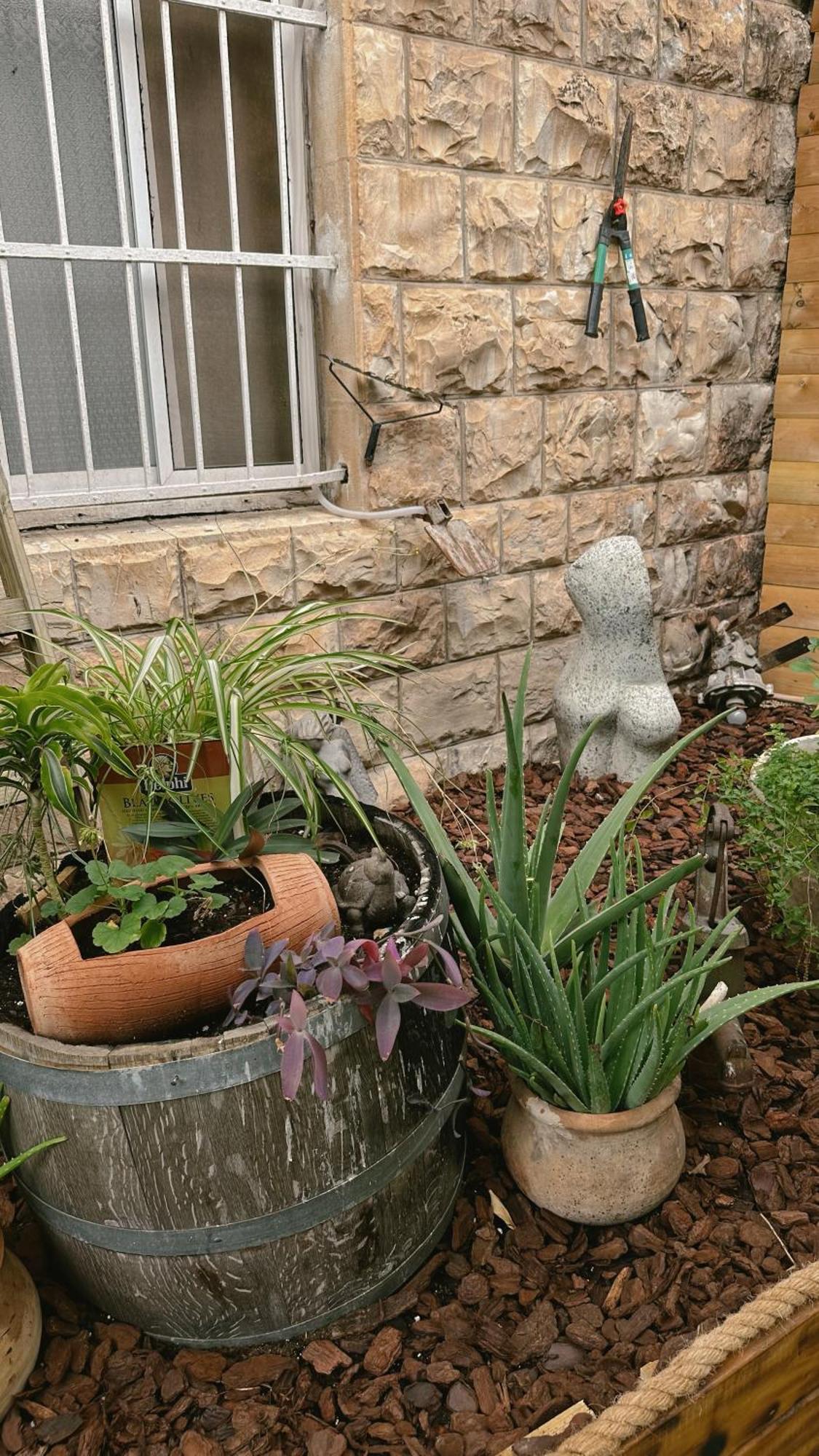 Dream House Art Hostel Garden And Terrace Хайфа Екстериор снимка